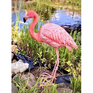 Flamingo 67 cm hoog - levensecht - polyester - polystone - beeld - tuinbeeld - hoogkwalitatieve kunststof - decoratiefiguur - interieur - accessoire - voor binnen - voor buiten - cadeau - geschenk - verjaardag - nieuwjaar - kerstmis - vogel