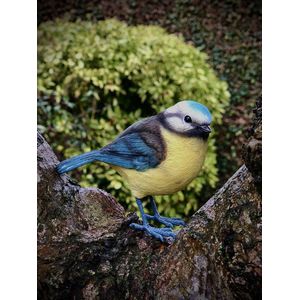 Vogel klein Pimpelmees 9 cm hoog - ware grootte - levensecht - polyester - polystone - beeld - tuinbeeld - hoogkwalitatieve kunststof - decoratiefiguur - interieur - accessoire - voor binnen - voor buiten - cadeau - geschenk - vogelliefhebber