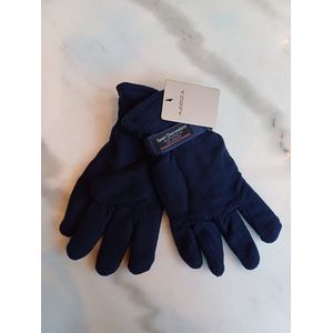 Heren Fleece Handschoenen Blauw met Dubbele Laag Fleece en Verstelbare Velcro Pols Sluiting