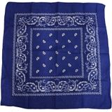 Boeren zakdoek Rain drop 54x54 - 54 - Groen