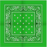 Boeren zakdoek Rain drop 54x54  - Groen