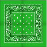 Boeren zakdoek Rain drop 54x54 - 54 - Groen