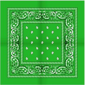 Boeren zakdoek Rain drop 54x54 - 54 - Groen