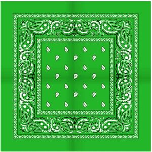 Boeren zakdoek Rain drop 54x54 - 54 - Groen