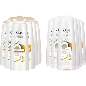 Dove - Shampoo Restoring 6 x 250 ml + Conditioner Restoring 6 x 200 ml