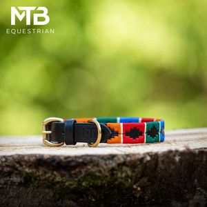 Leren halsband met lijn Polo Maat L - MTB Equestrian