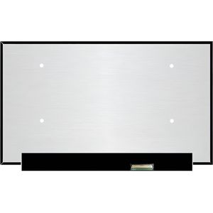 Laptop LCD Scherm 15,6"" NE156QUM-N6C
