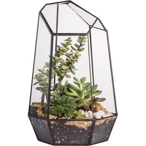 Geometrisch glazen terrarium voor vetplanten, luchtplanten, varen - 16,5 x 14,5 x 25 cm - moderne tuin onregelmatige glazen plantenbak pot - handgemaakte indoor tafelblad terrarium decor, zwart