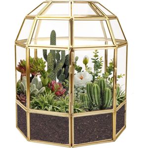 9,2 inch grote geometrische terrarium plantenbak, huisvorm zwarte handgemaakte glazen doos, vintage tafelblad miniatuur bloempot voor vetplanten, cactussen, luchtplanten (gouden vogelkooi vorm)