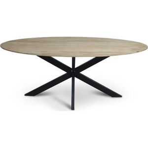 Floor vergadertafel van 200 x 100 cm met ovale Mango houten blad met facetrand aan onderzijde. Bladkleur naturel glad afgewerkt. Onderstel is een spinpoot in de kleur zwart.