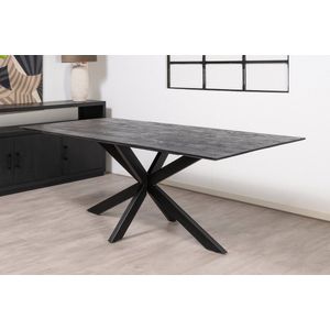 Floor tafel met rechthoekig Mango houten blad 220 x 100 cm met facetrand aan onderzijde. Bladkleur zwart gezandstraald afgewerkt. Onderstel is een spinpoot in de kleur zwart.