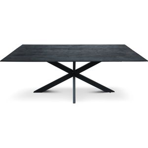 Floor tafel met rechthoekig Mango houten blad 300 x 110 cm met facetrand aan onderzijde. Bladkleur zwart gezandstraald afgewerkt. Onderstel is een spinpoot in de kleur zwart.