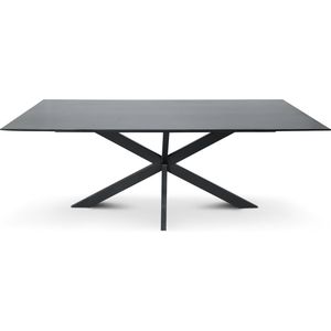 Floor tafel met rechthoekig Mango houten blad 300 x 110 cm met facetrand aan onderzijde. Bladkleur zwart glad afgewerkt. Onderstel is een spinpoot in de kleur zwart.