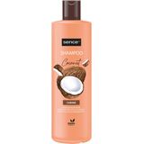6x Sence Shampoo Coconut 400 ml