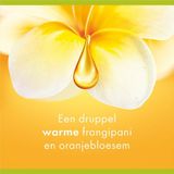 6x Palmolive Douchegel Aroma Essences Forever Happy 250 ml