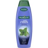 6x Palmolive Shampoo Anti-Roos 350 ml