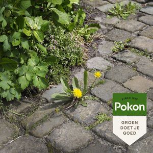 3x Pokon Tegen Onkruid Spray 1 liter