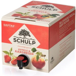 2x Schulp Saptap Appel-Aardbei Ambachtelijk 5 liter
