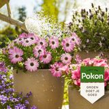 3x Pokon Plantenvoeding Terras & Balkon 500 ml