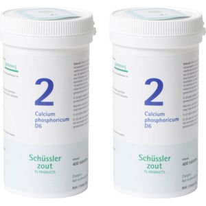 Pfluger Schussler Zout nr 2 Calcium Phosphoricum D6 - 2 x 400 tabletten