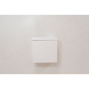 Sanigoods Minimo toiletmeubel 40cm mat wit met witte fontein zonder kraangat