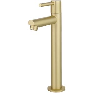 Best Design High Aquador verhoogde toiletkraan goud mat