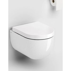Clou Hammock randloos toilet keramiek 49cm met softclose zitting wit glans