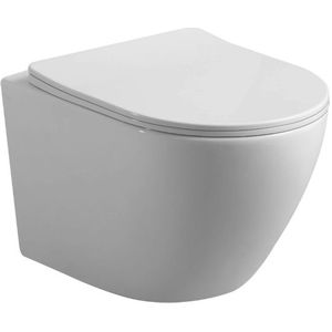 SaniGoods Livorno toiletpot inclusief softclose zitting 48cm glans wit