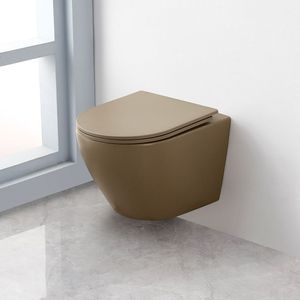 Saniclear Itsie taupe toiletpot randloos met softclose zitting