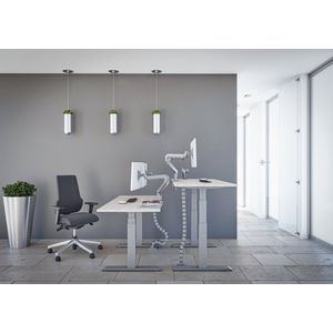 Tri-desk Premium | Elektrisch zit-sta bureau | Wit onderstel | Delano eiken blad | 160 x 80 cm