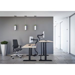 Tri-desk Premium | Elektrisch zit-sta bureau | Zwart onderstel | Logan eiken blad | 160 x 80 cm