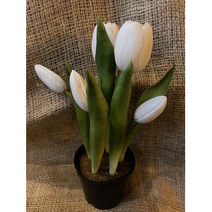 Kunstbloem in pot Tulp - Wit / White - Real touch tulpen - 27 cm - Boeket - Kunstbloemen in zwart potje - Kunst bloem - Sally tulp - Interieur - Sfeer - Voorjaar - Pasen - Paasdecoratie - Bloemen - Moederdag Oma - Decoratief - Deco - Decoratie - Luxe