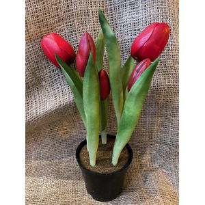 Kunstbloem in pot Tulp - Rood / Red - Real touch tulpen - 27 cm - Boeket - Kunstbloemen in zwart potje - Kunst bloem - Sally tulp - Interieur - Sfeer - Voorjaar - Pasen - Paasdecoratie - Bloemen - Moederdag - Oma - Decoratief - Deco - Decoratie Luxe