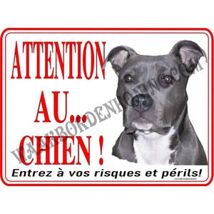 Amerikaanse Stafford 105 A....20x30cm...(Attention Au Chien!)