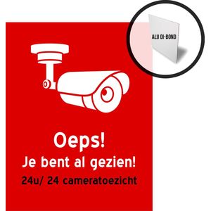 Pictogram/ bord Dibond | ""Oeps, je bent al gezien! 24u/ 24 cameratoezicht"" | 19 x 25 cm | Camerabewaking | Videobewaking | Diefstal verhinderen | Rood | 1 stuk