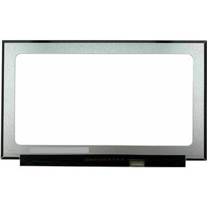 Laptop LCD Scherm voor HP OMEN 17-CB0700ND FHD (1920x1080) Mat 144Hz