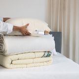 Terschellinger Hoofdkussen - Set van 2 stuks - IWS gecertificeerd Wol - Zacht/Medium - 60x70cm