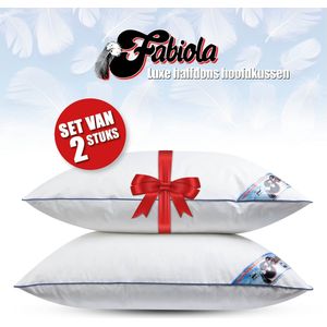 Fabiola - Halfdons hoofdkussen - Set van 2 stuks - DownPass gecertificeerde Dons & Veren - Zacht - 60x70cm