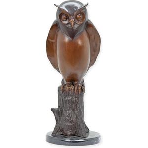 Brons beeld - uil - sculptuur - 50 cm hoog