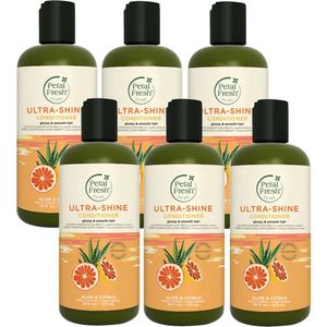 PETAL FRESH - Conditioner Aloe & Citrus - 6 Pak - Voordeelverpakking
