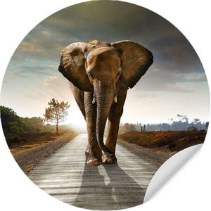 Behangcirkel Walking Elephant