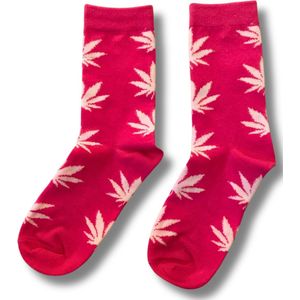 GILL'S - Wiet sokken - Cannabis sokken - Hemp Leaf Socks - Skate sokken – Hennep sokken – Wietsokken - Sokken - Feest Sokken - Maat 36-42