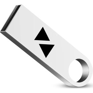USB stick 2.0 Zilver Aluminium Stijl 128GB - USB A - Flash Drive - Geschikt voor computer/laptop/tv - Zwart logo Hoge capaciteit voor bestanden en gegevens