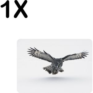 BWK Flexibele Placemat - Grijze Uil Vliegend boven de Sneeuw - Set van 1 Placemats - 35x25 cm - PVC Doek - Afneembaar