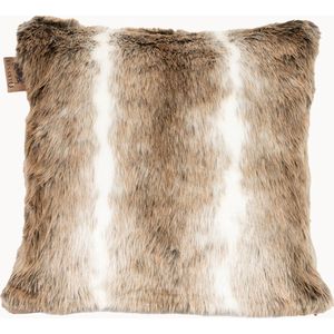 Gatto - Brown - Imitatiebont