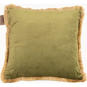 Carino - Cipres - Velvet Fringe Gold