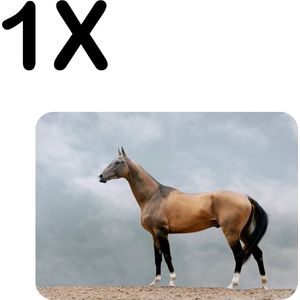 BWK Flexibele Placemat - Bruin Paard - Dier - Grijze Achtergrond - Set van 1 Placemats - 40x30 cm - PVC Doek - Afneembaar