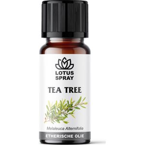 Tea Tree - Etherische olie [10ml]