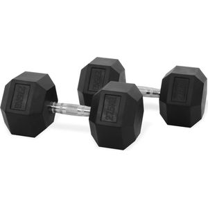 PH Fitness Hexa Dumbbell Set 27,5KG - 2 STUKS - Kwalitatieve Hexagon Dumbbells - Gewichten voor en Krachttraining en CrossFit - Hexa Dumbells