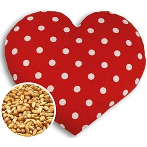 Warmtekussen Magnetron